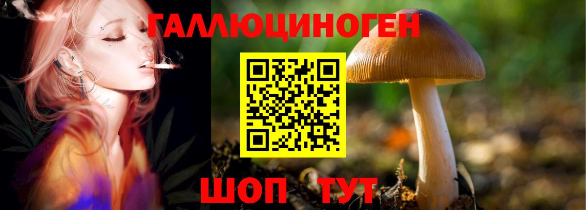 Псилоцибиновые грибы Cubensis  Вход с VPN  Новочебоксарск 